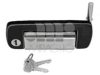 FIAT 4247758 Door Handle